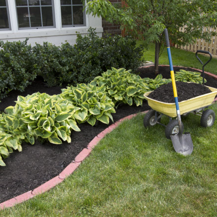 wheelbarrel with a showel and plants